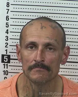 Mugshot of JOSE LUIS CELAYA