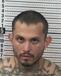 Mugshot of ARTURO ARELLANO