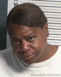 Mugshot of MELINDA C MCCURDY