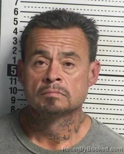 Mugshot of JESUS DELGADO