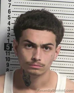Mugshot of BRANDON FABILA