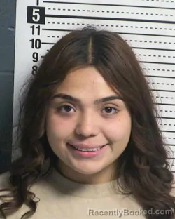 Mugshot of ALIYAH SILVA