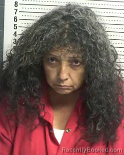 Mugshot of SHERRI PEREZ booked in Dona Ana County, New Mexico on March 17, 2026