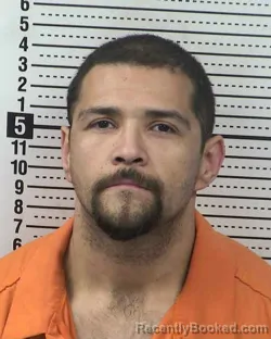 Mugshot of ROY LEE LOPEZ booked in Dona Ana County, New Mexico on March 18, 2026