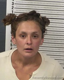Mugshot of DESTINY MONIQUE LOPEZ booked in Dona Ana County, New Mexico on March 18, 2026