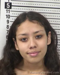 Mugshot of VIVIANA A RAMOS booked in Dona Ana County, New Mexico on March 18, 2026