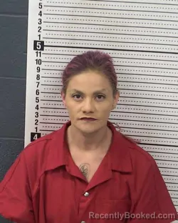 Mugshot of MARLENE SANCHEZ booked in Dona Ana County, New Mexico on March 20, 2026