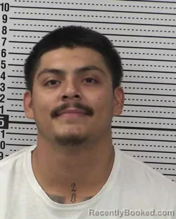 Mugshot of LUIS ALBERTO MORALES booked in Dona Ana County, New Mexico on March 20, 2026