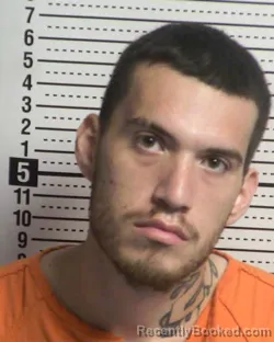 Mugshot of DANNY PERKINS booked in Dona Ana County, New Mexico on March 20, 2026