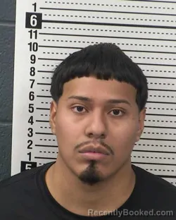 Mugshot of SERGIO RICARIO booked in Dona Ana County, New Mexico on March 21, 2026