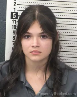 Mugshot of ANGELINA SILVA booked in Dona Ana County, New Mexico on March 23, 2026