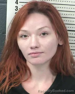 Mugshot of EVANGELINA JESSIE ROMERO booked in Dona Ana County, New Mexico on March 24, 2026