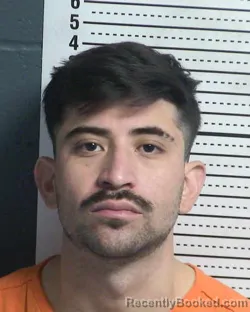 Mugshot of LEOBARDO PEDROZA booked in Dona Ana County, New Mexico on March 24, 2026