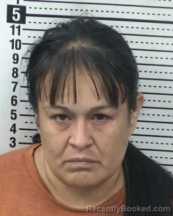 Mugshot of CYNTHIA VASQUEZ booked in Dona Ana County, New Mexico on March 24, 2026