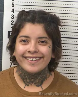 Mugshot of ASHLY SANTILLAN booked in Dona Ana County, New Mexico on March 24, 2026