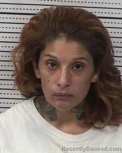 Mugshot of MARISSA MARIE OCHOA booked in Dona Ana County, New Mexico on March 24, 2026