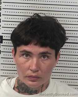 Mugshot of AURELIA ALLEGRA GUTIERREZ booked in Dona Ana County, New Mexico on March 24, 2026