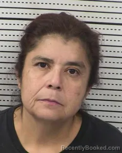 Mugshot of MANUELA FLORES booked in Dona Ana County, New Mexico on March 24, 2026
