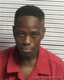 Mugshot of ROYNISHA YANET VANDIVIER booked in Dona Ana County, New Mexico on March 24, 2026