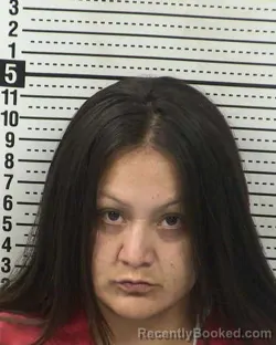Mugshot of SANDRA LUZ MENDOZA booked in Dona Ana County, New Mexico on March 25, 2026
