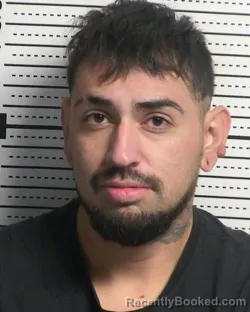 Mugshot of JAVIER REYES booked in Dona Ana County, New Mexico on March 26, 2026