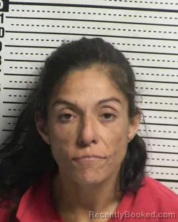 Mugshot of JASMINA MARIE VERDUGO booked in Dona Ana County, New Mexico on March 26, 2026