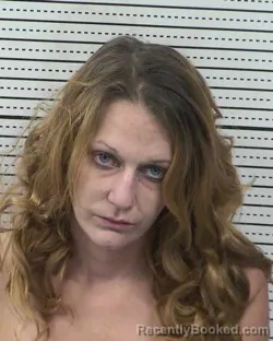 Mugshot of BRANDI SHAELENE HARLESS booked in Dona Ana County, New Mexico on March 26, 2026