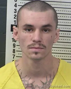 Mugshot of CHRISTIAN PIERRO booked in Dona Ana County, New Mexico on March 26, 2026