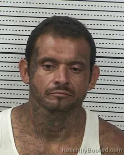 Mugshot of DAVID MOISES MEZA booked in Dona Ana County, New Mexico on March 26, 2026