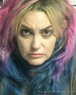 Mugshot of JESSICA LEE booked in Dona Ana County, New Mexico on March 26, 2026