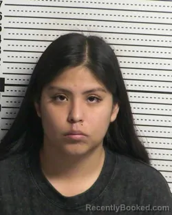 Mugshot of MARIANA SANCHEZ booked in Dona Ana County, New Mexico on March 27, 2026