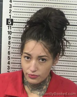 Mugshot of ASHLEY MARTINEZ booked in Dona Ana County, New Mexico on March 27, 2026