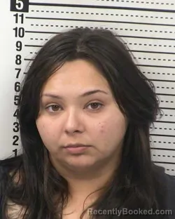 Mugshot of DESTINEE FAITH JIMENEZ booked in Dona Ana County, New Mexico on March 27, 2026