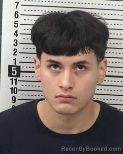 Mugshot of CARLOS HERNANDEZ booked in Dona Ana County, New Mexico on March 28, 2026