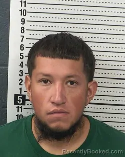 Mugshot of LUIS CELIS-PONCE booked in Dona Ana County, New Mexico on March 28, 2026