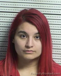 Mugshot of VIRIDIANA ANESSY HERNANDEZ AREVALO booked in Dona Ana County, New Mexico on March 28, 2026