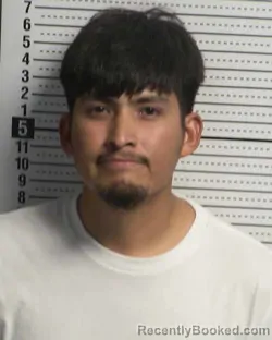 Mugshot of FERNANDO AVALOS booked in Dona Ana County, New Mexico on March 29, 2026