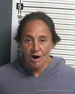 Mugshot of JESSICA HOLGUIN booked in Dona Ana County, New Mexico on March 29, 2026