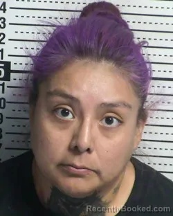 Mugshot of AMANDA GLOSHAY booked in Dona Ana County, New Mexico on March 30, 2026