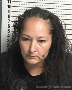 Mugshot of KRISTAL CHANNEL CALVILLO booked in Dona Ana County, New Mexico on March 30, 2026