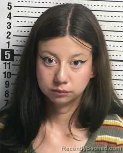 Mugshot of MAYA DELANEY FRANCO booked in Dona Ana County, New Mexico on March 31, 2026