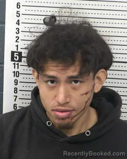 Mugshot of IRVIN DE JEHOVA ROSALES booked in Dona Ana County, New Mexico on March 31, 2026