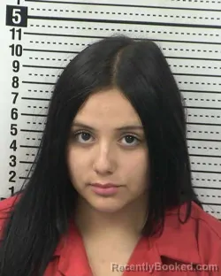 Mugshot of BIANCA Y LOZANO booked in Dona Ana County, New Mexico on March 31, 2026