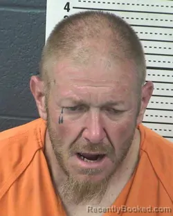 Mugshot of STEVEN JOSEPH GOLINSKY booked in Dona Ana County, New Mexico on March 31, 2026