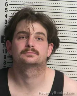 Mugshot of WILLIAM PORTER WELCH booked in Dona Ana County, New Mexico on March 31, 2026