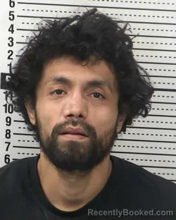 Mugshot of FRANCISCO HERNANDEZ booked in Dona Ana County, New Mexico on April 1, 2026