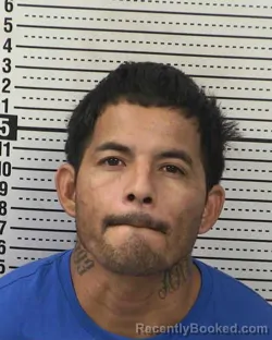 Mugshot of MARIO ALVARADO-ARAISA booked in Dona Ana County, New Mexico on April 1, 2026