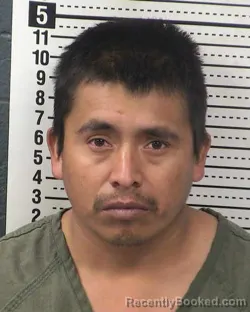 Mugshot of ZEFERINO GREGORIO-GALVEZ booked in Dona Ana County, New Mexico on April 1, 2026