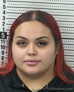 Mugshot of MIA ANELIZ CEBALLOS booked in Dona Ana County, New Mexico on April 1, 2026