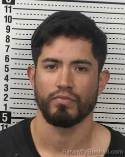 Mugshot of JAIKER ALVAREZ-ALBARRACIN booked in Dona Ana County, New Mexico on April 2, 2026